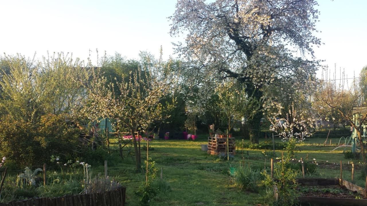 Challuy Chambre D'Hotes A La Campagne Nevers المظهر الخارجي الصورة